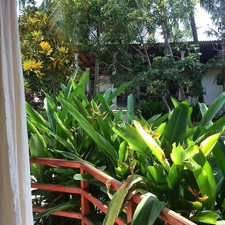 Paradise Garden أونا واتونا المظهر الخارجي الصورة